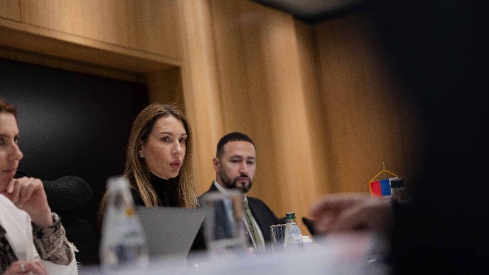 Plan za dve gasne konekcije